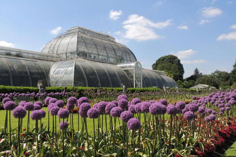 English Greenhouse