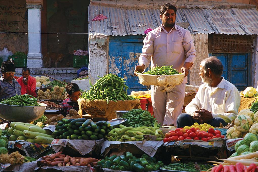 Experiential Learning in Indian Agriculture | Bumpers ...